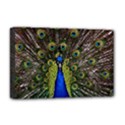 Deluxe Canvas 18  x 12  (Stretched) 