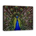 Deluxe Canvas 20  x 16  (Stretched) 