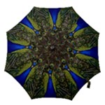 Peacock Hook Handle Umbrella (Medium)