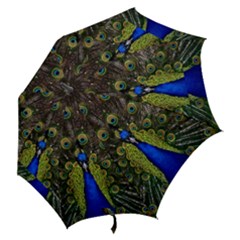 Hook Handle Umbrella (Medium) 