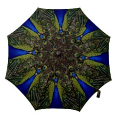 Hook Handle Umbrella (Large) 