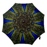 Peacock Hook Handle Umbrella (Small)