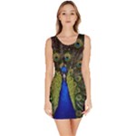 Peacock Bodycon Dress