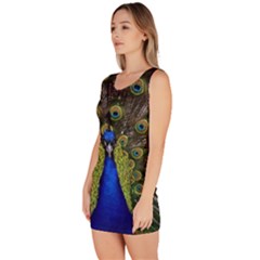 Bodycon Dress 