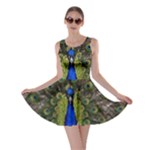 Peacock Skater Dress