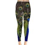 Peacock Leggings 