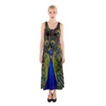 Peacock Sleeveless Maxi Dress