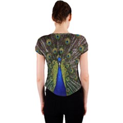 Crew Neck Crop Top 