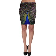 Bodycon Skirt 