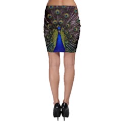 Bodycon Skirt 