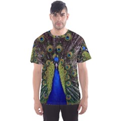 Men s Sport Mesh T-Shirt Front