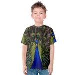 Peacock Kids  Cotton Tee