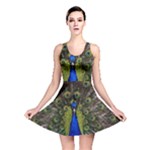 Peacock Reversible Skater Dress