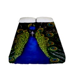 Fitted Sheet (Full/ Double Size) 