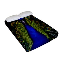 Fitted Sheet (Full/ Double Size) 