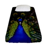 Peacock Fitted Sheet (Single Size)