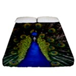 Peacock Fitted Sheet (Queen Size)