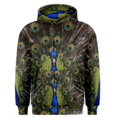 Men s Core Hoodie 