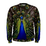 Peacock Men s Sweatshirt