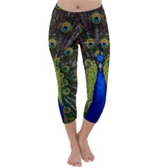 Capri Winter Leggings Front Capri Winter Leggings Front