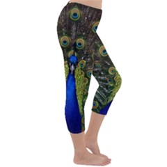 Capri Winter Leggings  