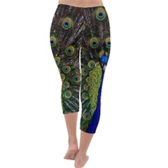 Capri Winter Leggings  