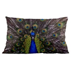 24 x16  Lumbar Throw Cushion Case (Two Sides) 