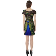 Short Sleeve Skater Dress Back Short Sleeve Skater Dress Back