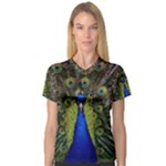 Peacock Women s V-Neck Sport Mesh Tee