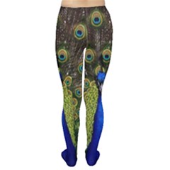 Tights Back