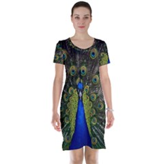 Short Sleeve Nightdress 