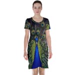 Peacock Short Sleeve Nightdress