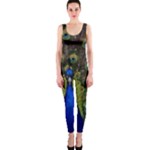 Peacock OnePiece Catsuit