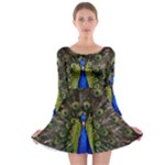 Peacock Long Sleeve Skater Dress