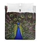 Peacock Duvet Cover Double Side (Full/ Double Size)