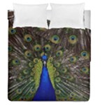 Peacock Duvet Cover Double Side (Queen Size)