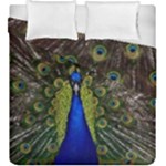 Peacock Duvet Cover Double Side (King Size)