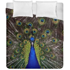 Peacock Duvet Cover Double Side (California King Size) from ArtsNow.com