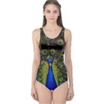 Peacock One Piece Swimsuit