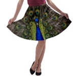Peacock A-line Skater Skirt