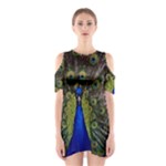 Peacock Shoulder Cutout One Piece