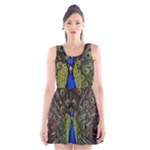 Peacock Scoop Neck Skater Dress