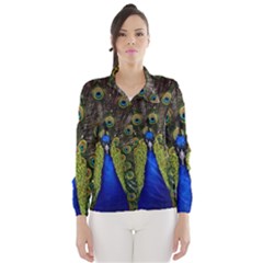 Women s Windbreaker 