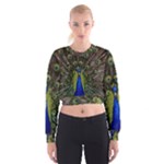 Peacock Cropped Sweatshirt