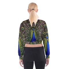 Cropped Sweatshirt 