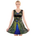 Peacock V-Neck Sleeveless Dress