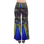 Peacock Women s Chic Palazzo Pants 