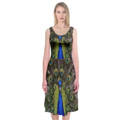 Peacock Midi Sleeveless Dress from ArtsNow.com