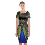 Peacock Classic Short Sleeve Midi Dress