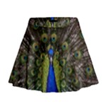 Peacock Mini Flare Skirt